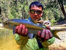 Mahseer Jungle Fly Fishing..