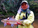 Mahseer Jungle Fly Fishing..