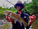 Mahseer on lure from Khao Sok National Park.