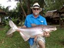 Giant Mekong Catfish.