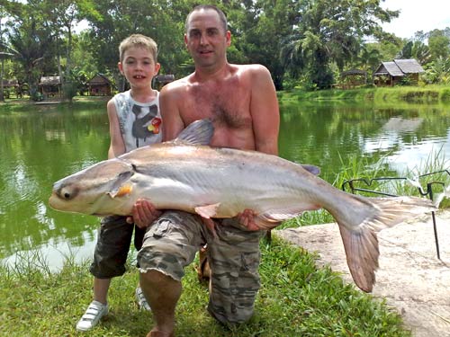 Giant Mekong Catfish from Sawai Lake Phuket.