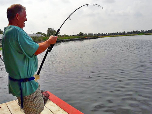 Giant Mekong Catfish from the New Bungsamran