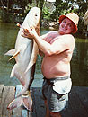 Giant Mekong Catfish.