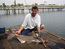 Giant Mekong Catfish on light tackle.