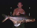 Giant Mekong Catfish at night in Bangkok.