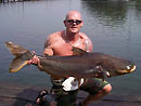 Giant Mekong Catfish in Bangkok.