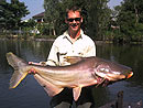 Giant Mekong Catfish in Bangkok.