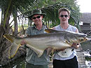 Giant Mekong Catfish in Bangkok.