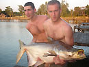 Giant Mekong Catfish in Bangkok.