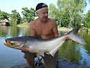 Giant Mekong Catfish in Bangkok.