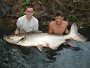 Giant Mekong Catfish in Bangkok.