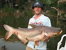 Giant Mekong Catfish in Bangkok.