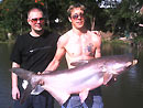 Giant Mekong Catfish in Bangkok.