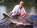 Giant Mekong Catfish in Bangkok.