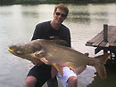 Giant Mekong Catfish in Bangkok.