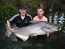 Giant Mekong Catfish in Bangkok.