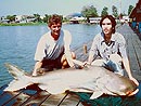 Giant Mekong Catfish in Bangkok.