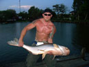 Giant Mekong Catfish in Bangkok.