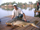 Cannon with a Catfish.