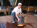 Giant Mekong Catfish in Bangkok.