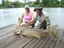 Giant Mekong Catfish in Bangkok.