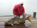 Giant Mekong Catfish in Bangkok.