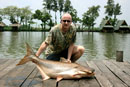 Giant Mekong Catfish.