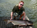 Giant Mekong Catfish in Bangkok.