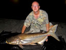 Giant Mekong Catfish.