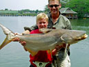 Giant Mekong Catfish in Bangkok.