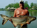 Giant Mekong Catfish.