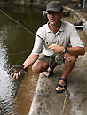 Mozambique Tilapia on fly.