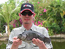 Mozambique Tilapia from Par Lai Lake.