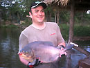 Pacu from Bungsam Lan Lake in Bangkok.