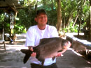 Pacu from Phuket.