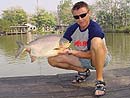 Pacu from Bungsam Lan Lake in Bangkok.