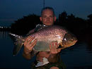 Pacu from Bungsam Lan Lake in Bangkok.