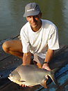 Pacu from Bungsam Lan.