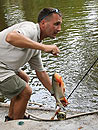 Red Bellied Pacu on fly.