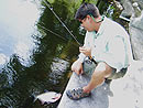 Landing a Red Bellied Pacu on fly in Phuket.