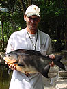 Red Bellied Pacu from Par Lai Lake.