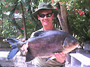 Red Bellied Pacu from Par Lai Lake.