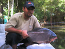 Red Bellied Pacu from Par Lai Lake.