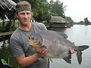 Red Bellied Pacu from Bangkok.