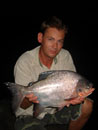 Red Bellied Pacu.