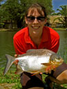 Red Bellied Pacu.