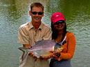 Red Bellied Pacu.