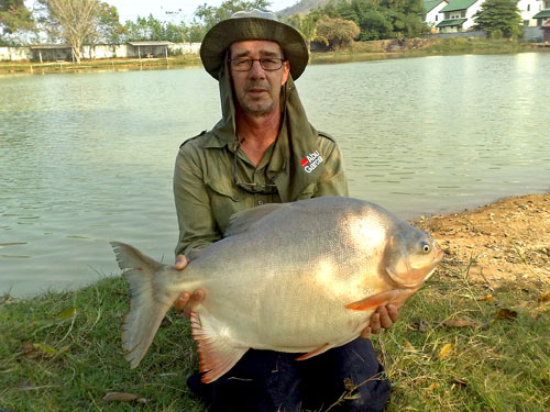 10 kilo Pacu from Palm Tree Lagoon.