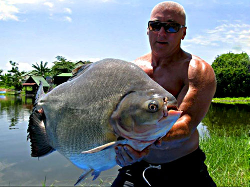 Massive Pacu at Palm Tree Lagoon.