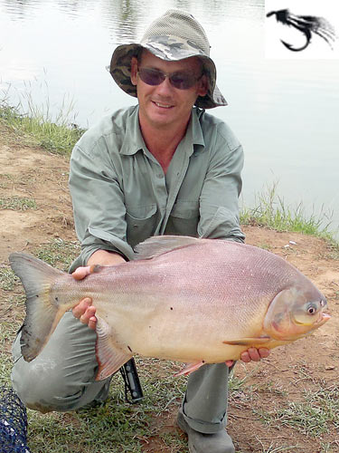 Pacu on fly